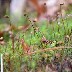 2016-12 France/Rumilly/DSC_0012.JPG